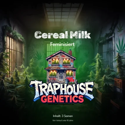 Cereal Milk feminisierte Cannabis Sorte von Traphouse Genetics - süß, cremig, labortestet