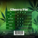 Cherry Pie feminisierte Cannabis Sorte von Traphouse Genetics - kirschig, süß, labortestet