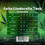 Automatic Cinderella Jack autoflowering Cannabis Sorte von Traphouse Genetics - stark, kompakt, labortestet