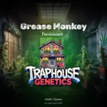 Grease Monkey feminisierte Cannabis Sorte von Traphouse Genetics - gasig, erdig, labortestet