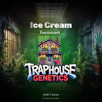 Ice Cream feminisierte Cannabis-Sorte von Traphouse Genetics - süss, cremig, labortestet