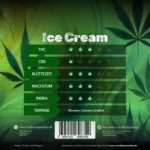 Ice Cream feminisierte Cannabis-Sorte von Traphouse Genetics - süss, cremig, labortestet