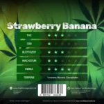 Strawberry Banana feminisierte Cannabis-Sorte von Traphouse Genetics - fruchtig, süß, labortestet