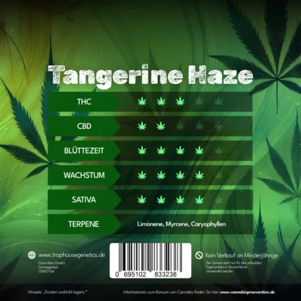 Tangerine Haze feminisierte Cannabis-Sorte von Traphouse Genetics - zitrusfrisch, aktivierend, labortestet