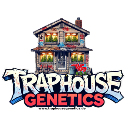 feminized cannabis strain by Traphouse Genetics – resin-rich and lab-tested premium genetics