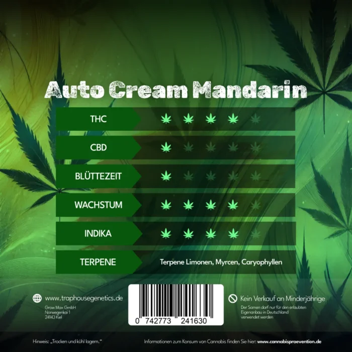 Auto Cream Mandarin – Zitrusdessert mit Durchschlagskraft - Image 2