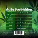 Auto Forbidden von Traphouse Genetics – feminisierte Autoflower mit fruchtigem Aroma, violetten Blüten und hohem THC-Gehalt