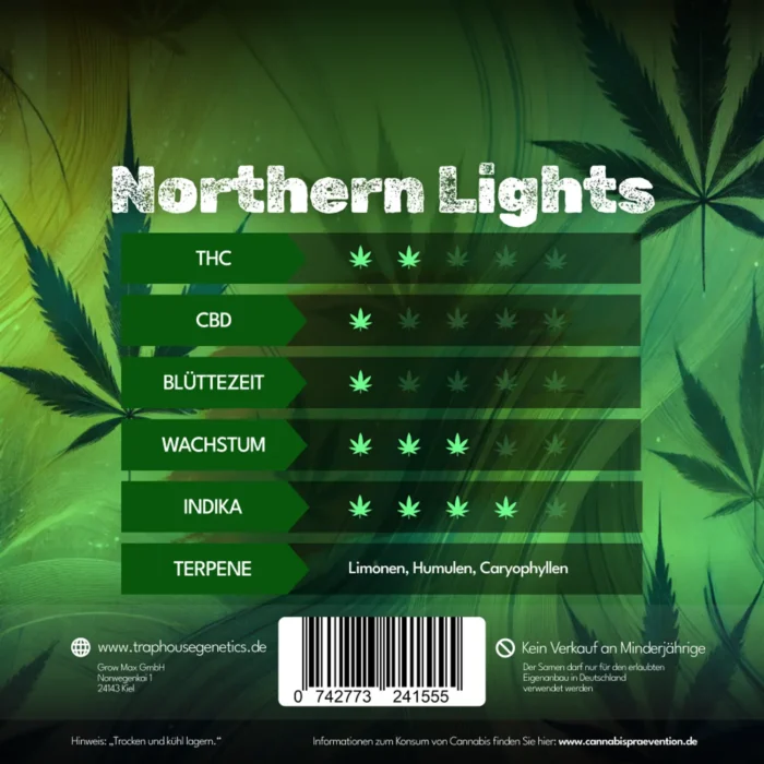Northern Lights Fast Version – Die Legende im Rekordtempo - Image 2