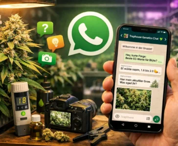 Traphouse genetics Support Gruppe