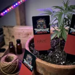 Traphouse Genetics Pflanzenschilder in Schwarz für die Sortenbeschriftung im Growroom.